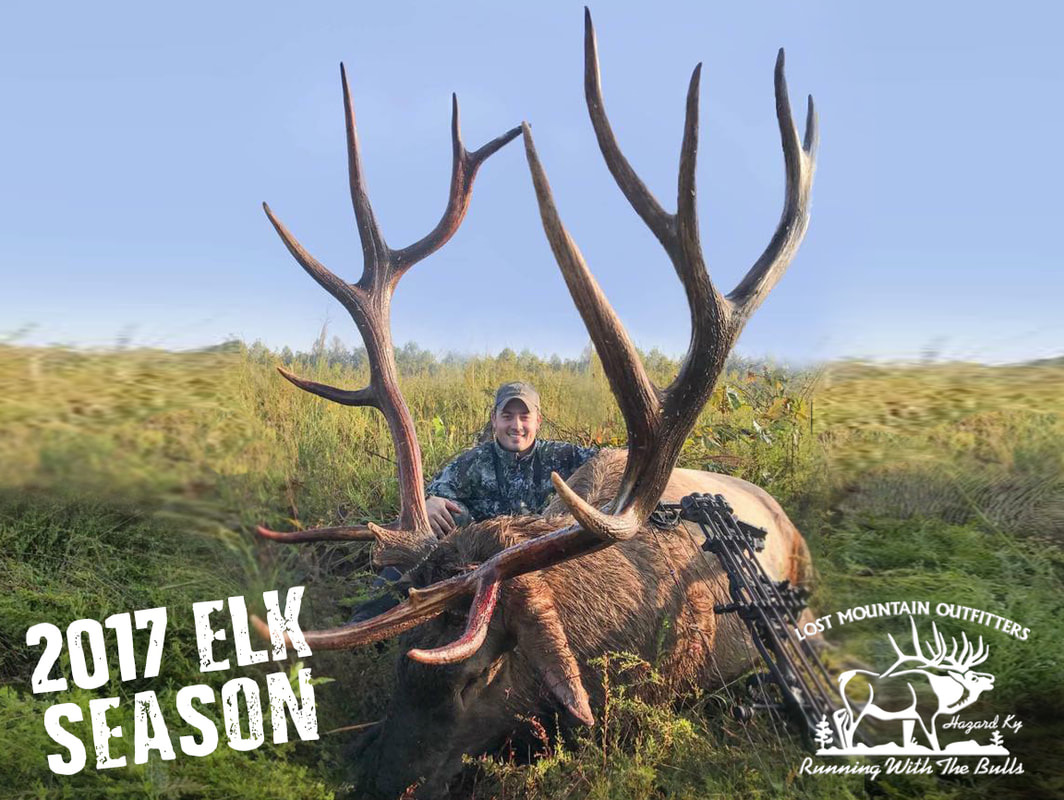Colorado Elk Hunting Guaranteed Elk Hunts High Fence Hunting Ranch